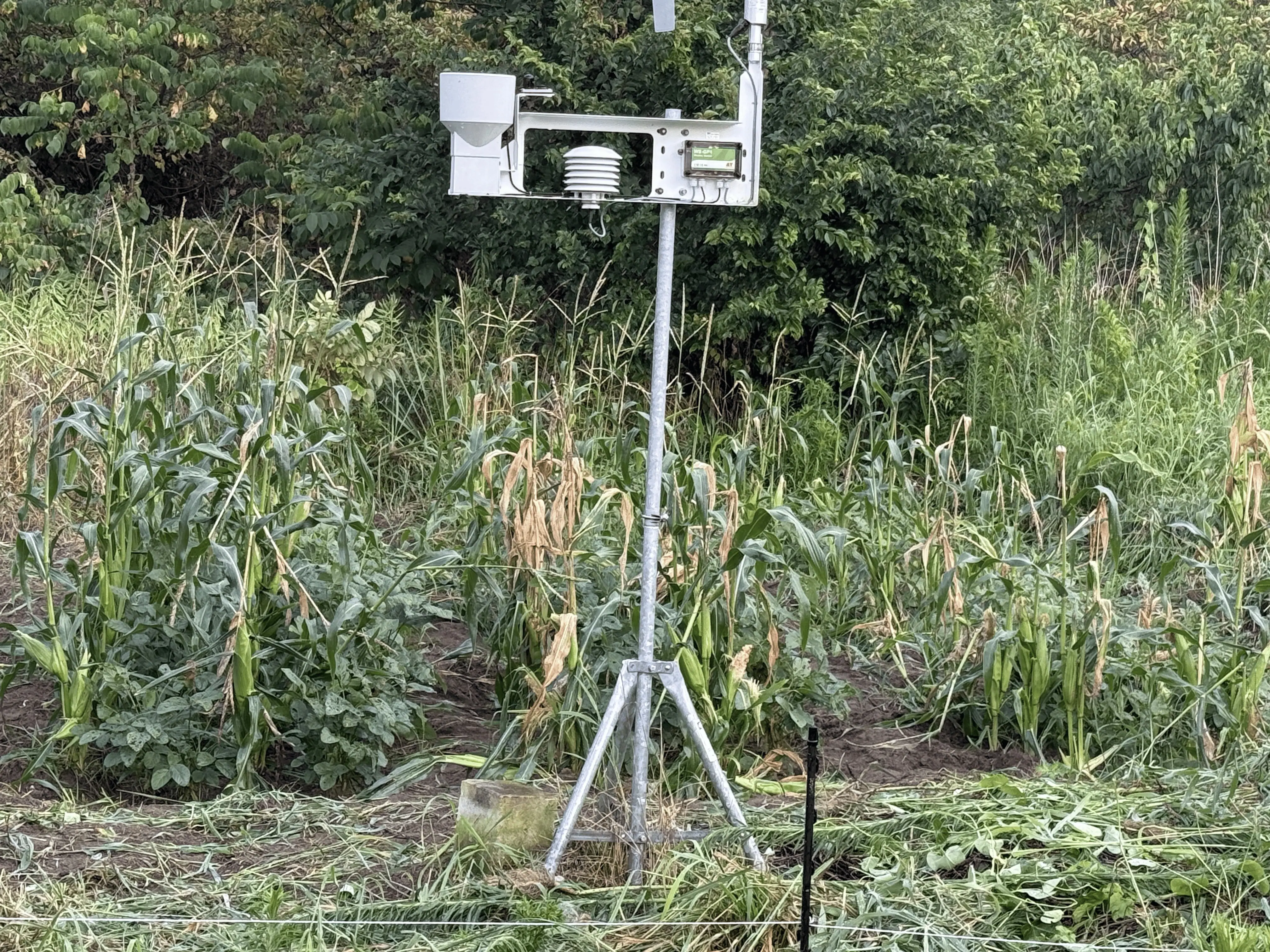 Resiliencia climática